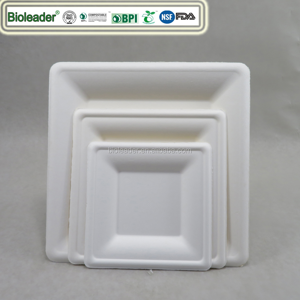 Biodegradable sugarcane square restaurant plate