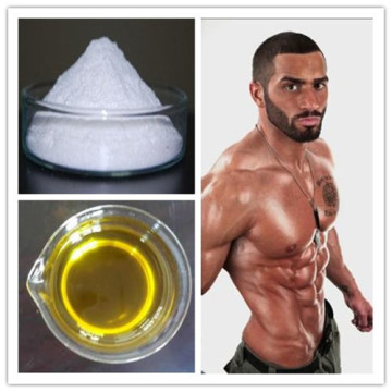 Qualified and Effectual Steroid Hormone Boldenone Undecylenate