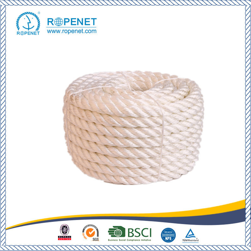 Good Quality PP Multifilament Rope for Hardware