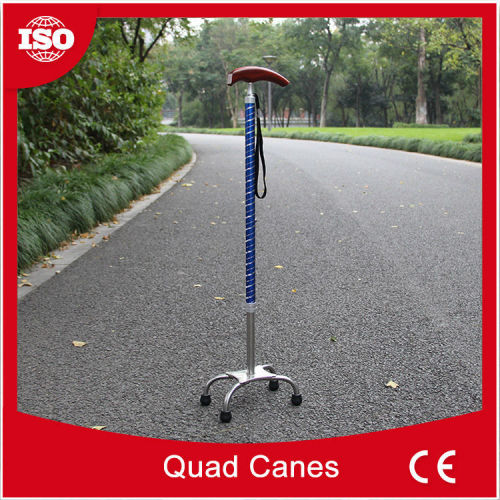 With 2 years warrantee Hot sale protection canes for the elderly