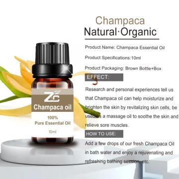 Hot Sale Pure Natural Therapeutic Grade Champaca Oil