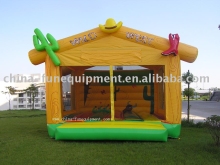 inflatable dream castle--DC002