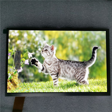 10.1 inç TFT LCD Ekran