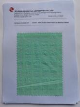 100% Nylon 430t Wide Line Ribstop taffeta