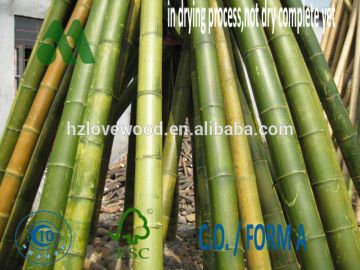 Bamboo Poles/Moso Bamboo/Big Bamboo/Bamboo Sticks/Bamboo Stakes/Bamboo Canes