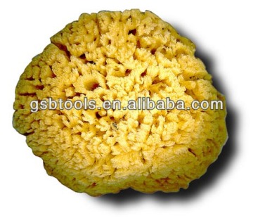 natural sponge