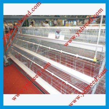 A-type wire mesh egg chicken farming