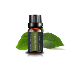 Steam Distilled Plant  Extract Top Grade Bay Leaf Oil