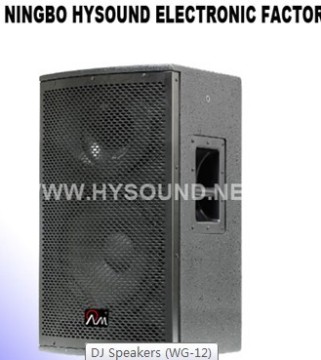 DJ Speakers (WG-12)