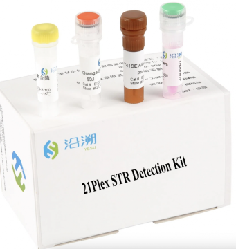 21 Plex STR Detection Kit