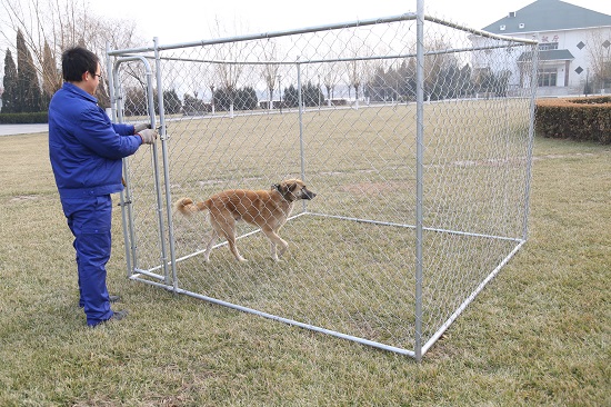 Der Metallhundezwinger The Metal Dog Kennel