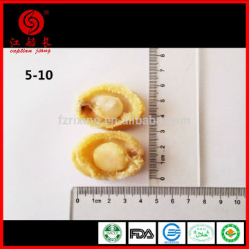 FROZEN BOILED ABALONE MEAT 5-10g/PCS
