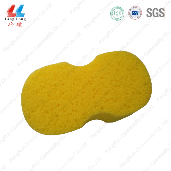 Washing Sponge