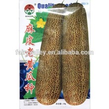High Quality Chinese Cucumber Seeds For Planting-Old Cucumber