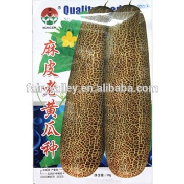 High Quality Chinese Cucumber Seeds For Planting-Old Cucumber