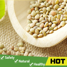 whole small green lentils price for sale