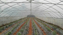 research greenhouse