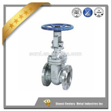 gg25 globe valve,union bonnet type globe valve,regulating globe valve
