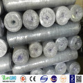 Hexagonal Wire Mesh for Animal Breeding Fence