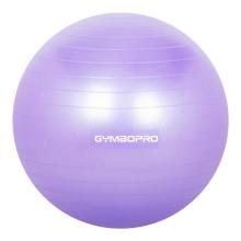 Yogo Stability Exercise Ball 65cm Balance Birthing Ball with Air Pump Fit Ball