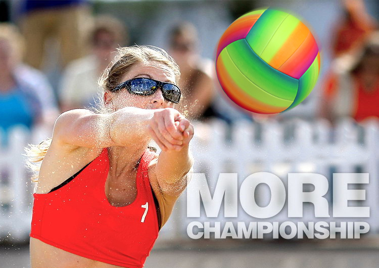 volleybal bal volleyball ball