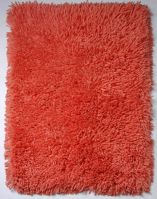 Shaggy Doormat Indoor