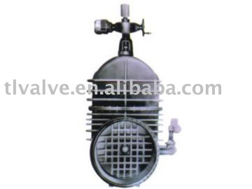electric non-rising wedge double disk gate valve