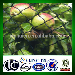 High quality agriculture anti bird protection net