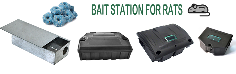 rat bait station