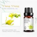 FRAGRANCE AROMATERAPY Diffuser Ylang Ylang Essential Oil