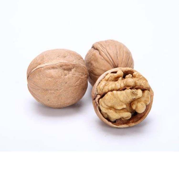 The Purpose of the Walnut