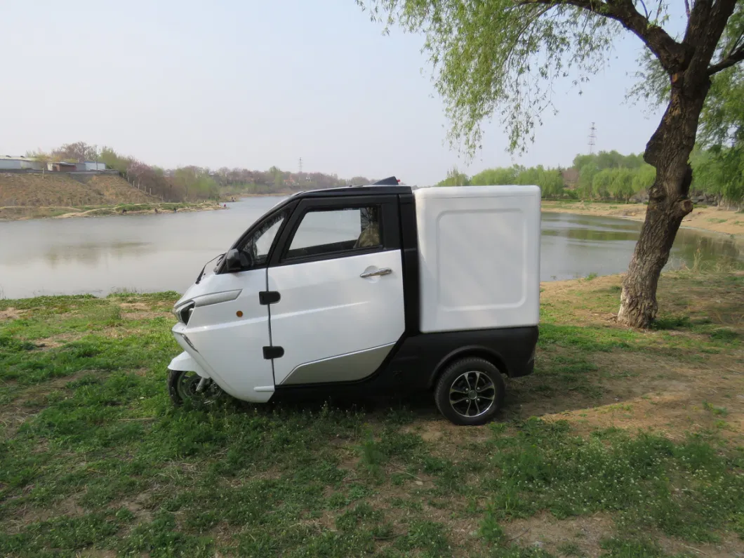EEC Approval 3 Wheel Electric Transport Car Cargo