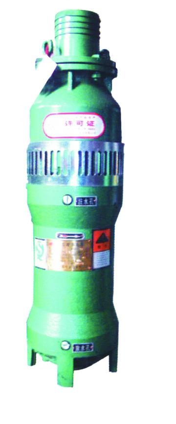 QS-type Small Submersible Well Pump