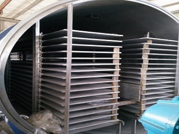 vegetable drying machine/industrial fruit drying equipment