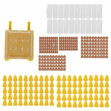 Queen Rearing System for Beekeeping: Tools and Techniques