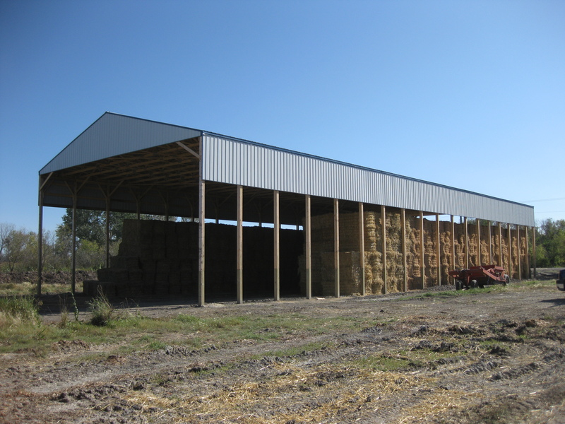 Stålkonstruktion Design Fjäderfä Farm Shed