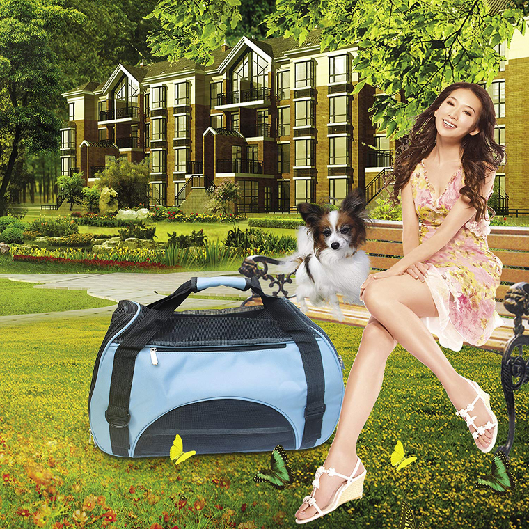 Tierträger Pet Carrier