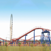 Popular Family Roller Coasters for Amusement Parks