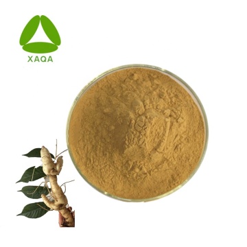 Polygonatum Sibiricum Extract Rhizoma Polygonati Powder 10: 1