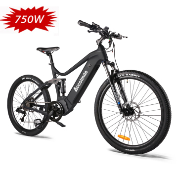 2021 New Design Electric Bike: Full Suspension MTB E-Bike