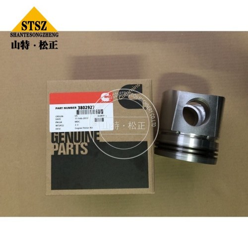 4VBE34RW3 Yedek Parçalar Piston Kiti 3802927