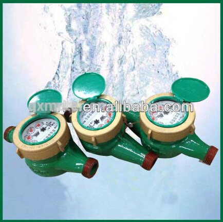 LXS digital potable water meter