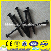 Cheap wholesale common nail iron nail