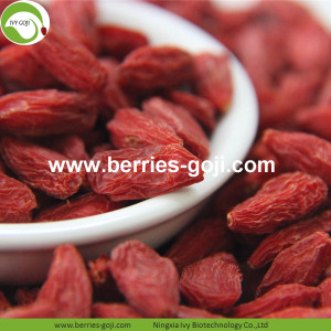 โรงงานขายอาหารซูเปอร์โภชนาการมาเลเซีย Goji Berry