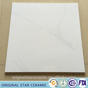 600x600mm unglazed tile porcelain floor