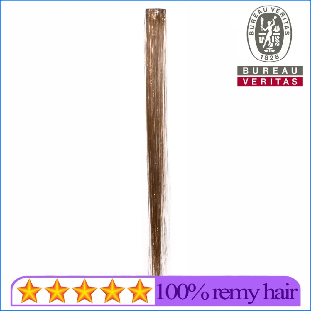 Synthetic Hair Material Colordful Hair with Colorful Silks 1 Piece Single Piece Clip Hair Extension Remy Hair