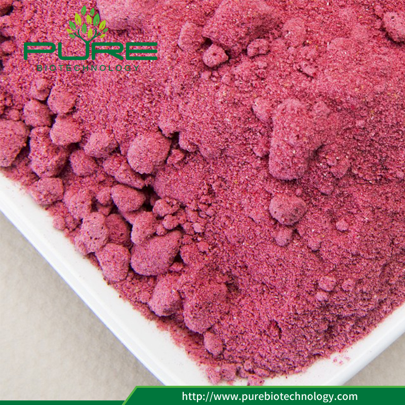 المضادة للأكسدة الفاكهة المجففة التوت البري استخراج مسحوق 4 Anti-oxidant Fruit Dried Cranberry Extract Powder4