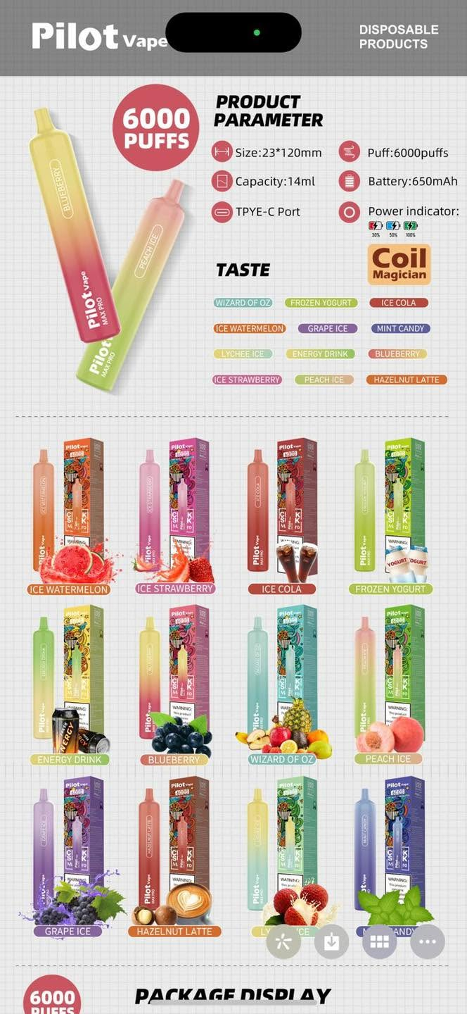 Pilot Max Pro 6000 puffs Pilot Max Pro 6000 puffs