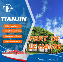 Sea Freight Forwarder From Tianjin To La Rochelle