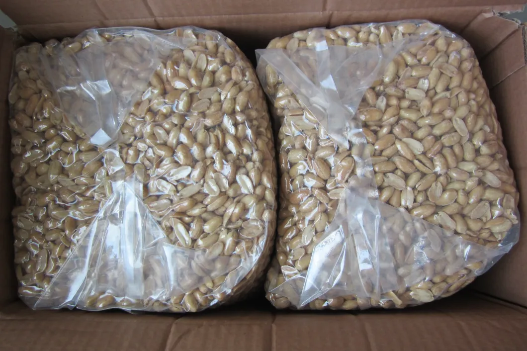 High Quality Big Size Delicious Roasted and Salted Peanut Kernels 25/29